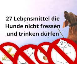 Pin Auf Hunde Ernahrung
