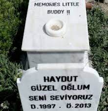 hayvan mezarligi ankara ankara hayvan mezarligi haytap hayvan mezarligi golbasi ankara golbasi ajda pekkan hamster mezari