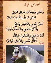 Pin By Nasr Elkouny On أشعار وحكم Lib