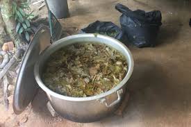 Pijat dengan lembut agar meresap pada kulit kepala. Cara Clearkan Urine Ketum How To Pass A Drug Test In Malaysia