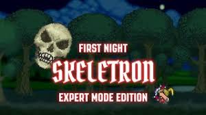 Want to play expert mage in terraria, but no idea how to this episode, i show you how to defeat expert skeletron and eye of cthulhu as a mage! Terraria Skeletron Expert Mode Yoyo Guide Invidious
