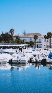 Image result for Faroa duvigneaud