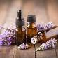 Introduction to Essential Oils