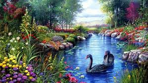 You can use them as new wallpaper and background images for your windows and mac os computers as well as your android and iphone. Nature Wallpaper Full Hd Natural Landscape Swan Black Swan Nature Pond 21994 Wallpaperuse