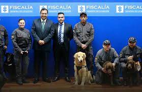 ¿sabías que… por ley se crea la fiscalía general de la nación como servicio descentralizado, institución que ejercerá las funciones del ministerio público y es así que, todas las referencias efectuadas al ministerio público y fiscal o fiscalía de corte y procuraduría general de la nación. Siete Perros Se Jubilaron En La Fiscalia General De La Nacion El Quindiano