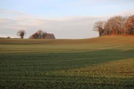 Soit 82.000 hectares de terres agricoles disparus en moyenne chaque année entre 2006 et 2010, rappelle le ministère de l'agriculture. Le Prix Des Terres Agricoles En Mayenne Agri53