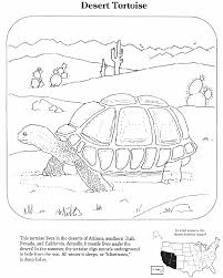Desert Tortoise Desert Tortoise Turtle Coloring Pages Coloring Pages