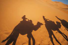 Sunset in desert, person and camel silhouette. Shadows Of People Riding Camels In Sandy Desert Sahara Morocco Caif22625 Anna Wiewiora Westend61