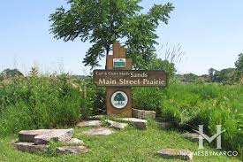 Sands Main Street Prairie Nature Preserve in Cary, IL