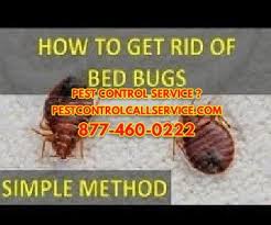 Your local woodbridge pest control team providing a reliable & fast service to your home or business. 24 Hour Pest Control Home Acres Md