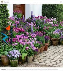 Maybe you would like to learn more about one of these? Fresh Flowers In A Variety Of Planters Are Great For The Porch Tips For Indoor Gardening Pinterest Garden Garden Basket And Tulips Flowers Garden Containers Plants Garden Design