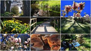 See more of botanischer garten der universität ulm on facebook. Alter Botanischer Garten Kiel Foto Bild Deutschland Europe Schleswig Holstein Bilder Auf Fotocommunity