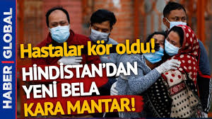 Kara mantar (mukormikoz) tedavisi var mı? Hindistan Da Yeni Korku Kara Mantar Bazi Hastalar Kor Oldu Youtube
