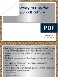 Jan 06, 2012 · optimally, the diagnostic laboratory would plan for — a general microbiology laboratory area able to be closed off from the main laboratory, i.e., from other laboratory disciplines; Laboratory Set Up For Animal Cell Culture Cell Culture Sterilization Microbiology