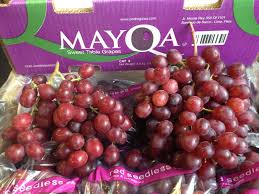 Magenta Table Grapes Delicious Red Seedless Variety With High Sugar And Great Eating Quality Sweet Table Grapes Grocery Store
