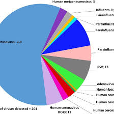 Pie Chart Displaying The Frequency Of Viruses Detected On Np