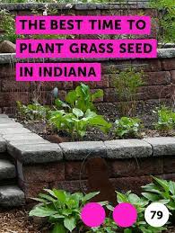 Learn The Best Time To Plant Grass Seed In Indiana How To Guides Tips And Tricks Grass Seed Plants Best Grass Seed
