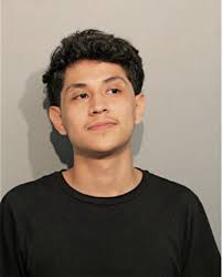 ᐅ Illinois Criminal Records 2009-2025