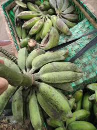 Maybe you would like to learn more about one of these? Pisang Batu Klutuk Pisang Klutuk Kluthuk Matang Dan Tua Facebook