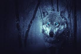 Square plastic bits that are attached to an adhesive canvas by assigned color. Wolf Fantasy Wallpapers Wallpaper Cave