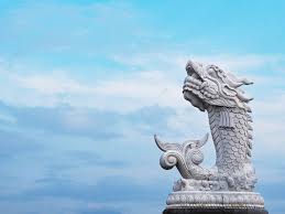 Cà chép kho riềng là món ăn dân dã, hương vị đậm đà, quen thuộc trong bữa cơm hằng ngày. 45 Best Chep Images Stock Photos Vectors Adobe Stock