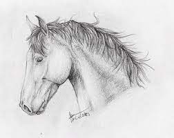 Dibujos De Caballos Para Dibujar A Lapiz Buscar Con Google Dibujo Caballo Lapiz Animales Dibujados A Lapiz Dibujos De Caballos Las mejores técnicas y tutoriales para aprender a dibujar a lápiz. dibujos de caballos para dibujar a
