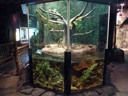 Herpetarium Google Search Reptile Habitat Pet Enclosure Reptile Enclosure