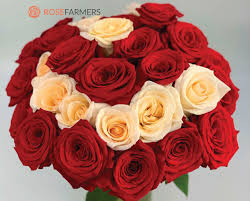 Cheap mothers day flowers free shipping. Deal 50 Off Of 2 Dozen Long Stem Roses Free Shipping Certifikid