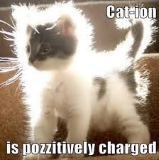 Science Caturday Electrikitty With Images Chemistry Cat Science Humor Nerdy Humor