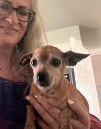 817 Rose st The ac's work fine we just upgraded to newer ones