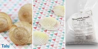 2.wie kann man ein guter fachmann werden? Basteln Mit Muscheln 4 Tolle Ideen Zur Deko Talu De