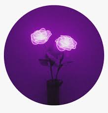May 22, 2020 · original resolution: Lights Rose Purple Flower Aesthetic Purpleaesthetic Purple Aesthetic Hd Png Download Transparent Png Image Pngitem