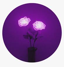 Freetoedit flowercrown image by flower crowns transparent. Lights Rose Purple Flower Aesthetic Purpleaesthetic Purple Aesthetic Hd Png Download Transparent Png Image Pngitem