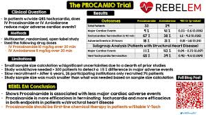 Image result for Procainamide
