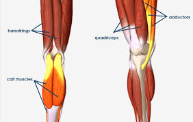 Pin On Knee Pain