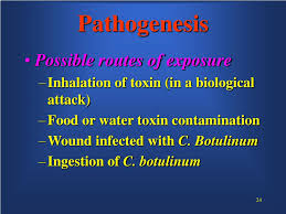 These toxins have been designated by letters, and human botulism has been caused by toxins a, b, e, and f. Ppt Ø¨Ø³Ù… Ø§Ù„Ù„Ù‡ Ø§Ù„Ø±Ø­Ù…Ù† Ø§Ù„Ø±Ø­ÙŠÙ… Powerpoint Presentation Id 7031934