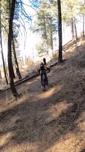 Day 2 action from @transbcenduro 2024 in Crowsnest Pass, Alberta Canada  chasing the wheels of legends @jgaube @t.r_wilding @skimikeybike  @its_jimmy, Tom Hughes and Jacob Strohl. Best of times in the heat 🔥 #