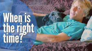 You can also use tylenol or insulin to overdose and bring them into a coma from which they won't wake up. How To Euthanize A Dog With Benadryl Quick Tips