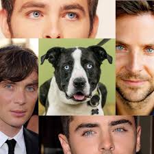 How handsome are these brothers, Luke and Moses? 💙😍