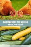 Is yellow squash safe for chickens?