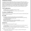 Parcourez notre sélection de curriculum vitae simple : 3