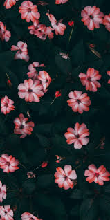 Pinterest Mafecarmo Aesthetic Galaxy 2019 Homescreen Wallp Flower Iphone Wallpaper Sunflower Wallpaper Cellphone Wallpaper