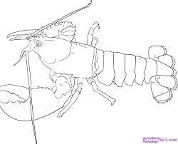 Search through 623,989 free printable colorings at getcolorings. Lobster Outline Lobster Coloring Page Cartoon Clipart Of A Black And White Wikiclipart