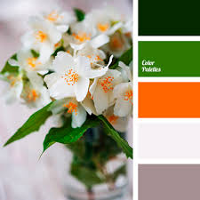 Green and orange mixed together. Green And Orange Color Palette Ideas