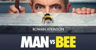 Man vs Bee