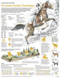 This Is Visual Journalism 134 Visualoop Scientific Illustration Horse Anatomy Visual