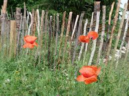 Gartenzaun Selber Bauen Staketenzaun Gartenzaun Selber Bauen Gartenzaun Zaun