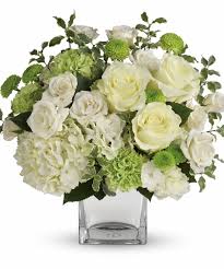 We did not find results for: August Birth Flower Designs