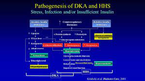 Diabetic Ketoacidosis And Hypersmolar Non Ketotic Coma Endocrinology Advisor