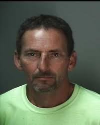 Man facing molesting charges in Greene, Monroe counties